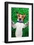 Dog Selfie-Javier Brosch-Framed Photographic Print