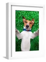 Dog Selfie-Javier Brosch-Framed Photographic Print