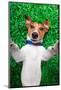 Dog Selfie-Javier Brosch-Mounted Photographic Print