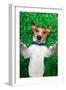 Dog Selfie-Javier Brosch-Framed Photographic Print