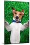 Dog Selfie-Javier Brosch-Mounted Photographic Print