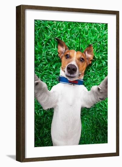 Dog Selfie-Javier Brosch-Framed Photographic Print