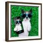 Dog Selfie-Javier Brosch-Framed Photographic Print