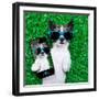 Dog Selfie-Javier Brosch-Framed Photographic Print