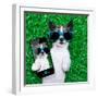 Dog Selfie-Javier Brosch-Framed Photographic Print