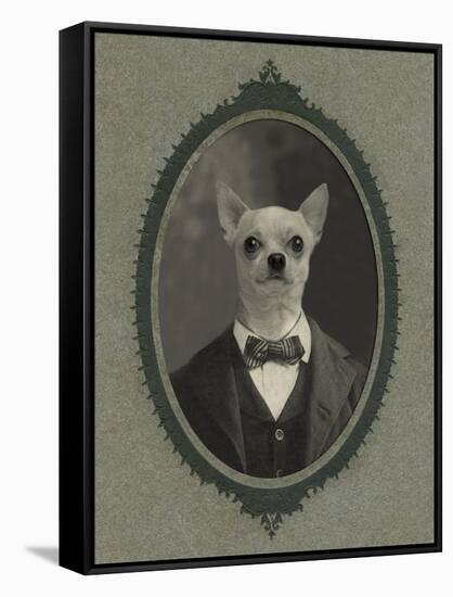 Dog Series #1-J Hovenstine Studios-Framed Stretched Canvas