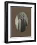 Dog Series #2-J Hovenstine Studios-Framed Giclee Print