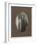 Dog Series #2-J Hovenstine Studios-Framed Giclee Print