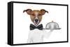 Dog Service Tray-Javier Brosch-Framed Stretched Canvas