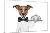 Dog Service Tray-Javier Brosch-Mounted Photographic Print