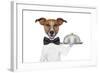 Dog Service Tray-Javier Brosch-Framed Photographic Print