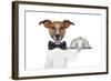 Dog Service Tray-Javier Brosch-Framed Photographic Print