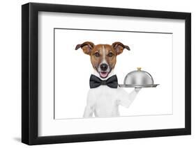 Dog Service Tray-Javier Brosch-Framed Photographic Print