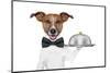 Dog Service Tray-Javier Brosch-Mounted Photographic Print