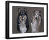 Dog Seven-Rusty Frentner-Framed Giclee Print