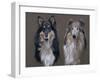 Dog Seven-Rusty Frentner-Framed Giclee Print