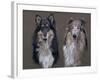 Dog Seven-Rusty Frentner-Framed Giclee Print