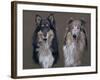 Dog Seven-Rusty Frentner-Framed Giclee Print