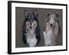 Dog Seven-Rusty Frentner-Framed Giclee Print