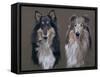 Dog Seven-Rusty Frentner-Framed Stretched Canvas