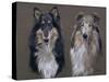 Dog Seven-Rusty Frentner-Stretched Canvas