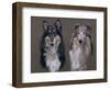 Dog Seven-Rusty Frentner-Framed Giclee Print