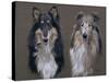 Dog Seven-Rusty Frentner-Stretched Canvas