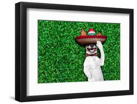 Dog Siesta-Javier Brosch-Framed Photographic Print