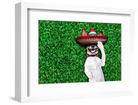 Dog Siesta-Javier Brosch-Framed Photographic Print