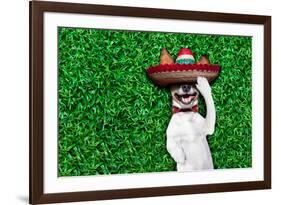 Dog Siesta-Javier Brosch-Framed Photographic Print