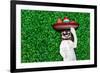 Dog Siesta-Javier Brosch-Framed Photographic Print
