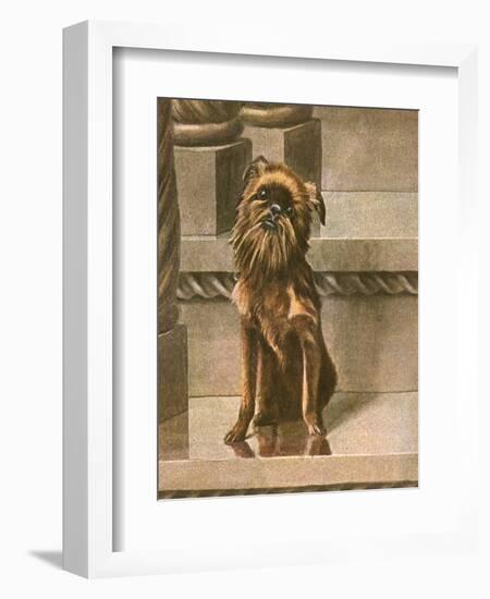 Dog Sitting in Cityscape-Louis Agassiz Fuertes-Framed Art Print