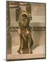 Dog Sitting in Cityscape-Louis Agassiz Fuertes-Mounted Art Print