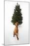 Dog Sitting in Front of Christmas Tree-Ned Frisk-Mounted Photographic Print