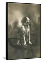 Dog Sitting on Carved Wooden Chair-null-Framed Stretched Canvas