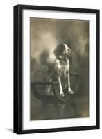 Dog Sitting on Carved Wooden Chair-null-Framed Art Print