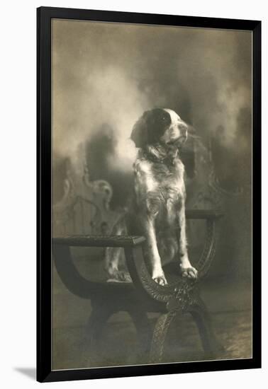 Dog Sitting on Carved Wooden Chair-null-Framed Art Print