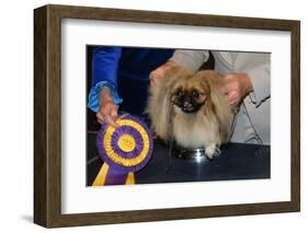 Dog Sitting on Trophy-Andrew Lopez-Framed Photographic Print