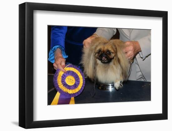 Dog Sitting on Trophy-Andrew Lopez-Framed Photographic Print