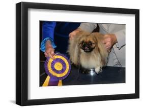 Dog Sitting on Trophy-Andrew Lopez-Framed Photographic Print