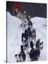 Dog Sled Racing in the 1991 Iditarod Sled Race, Alaska, USA-Paul Souders-Stretched Canvas