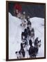 Dog Sled Racing in the 1991 Iditarod Sled Race, Alaska, USA-Paul Souders-Framed Photographic Print