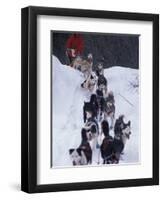 Dog Sled Racing in the 1991 Iditarod Sled Race, Alaska, USA-Paul Souders-Framed Photographic Print