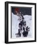 Dog Sled Racing in the 1991 Iditarod Sled Race, Alaska, USA-Paul Souders-Framed Photographic Print