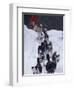 Dog Sled Racing in the 1991 Iditarod Sled Race, Alaska, USA-Paul Souders-Framed Photographic Print