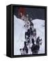 Dog Sled Racing in the 1991 Iditarod Sled Race, Alaska, USA-Paul Souders-Framed Stretched Canvas