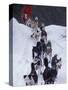 Dog Sled Racing in the 1991 Iditarod Sled Race, Alaska, USA-Paul Souders-Stretched Canvas