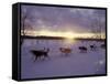 Dog Sled Racing in the Iditarod Sled Race, Alaska, USA-Paul Souders-Framed Stretched Canvas