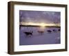 Dog Sled Racing in the Iditarod Sled Race, Alaska, USA-Paul Souders-Framed Photographic Print