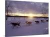 Dog Sled Racing in the Iditarod Sled Race, Alaska, USA-Paul Souders-Stretched Canvas